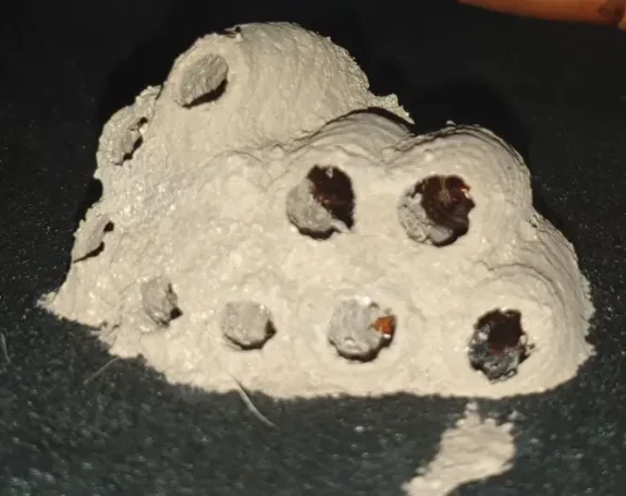Monticule de terre grisâtre avec plusieurs tubes noirs émergents.